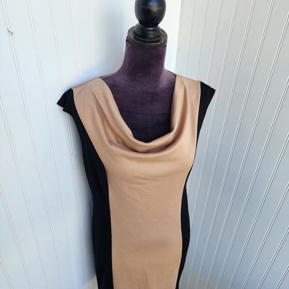 SPENCE Women's Dress Colorblock Tan Black Sheath Panel Detail Sleveless Sz 8 - Picture 9 of 12